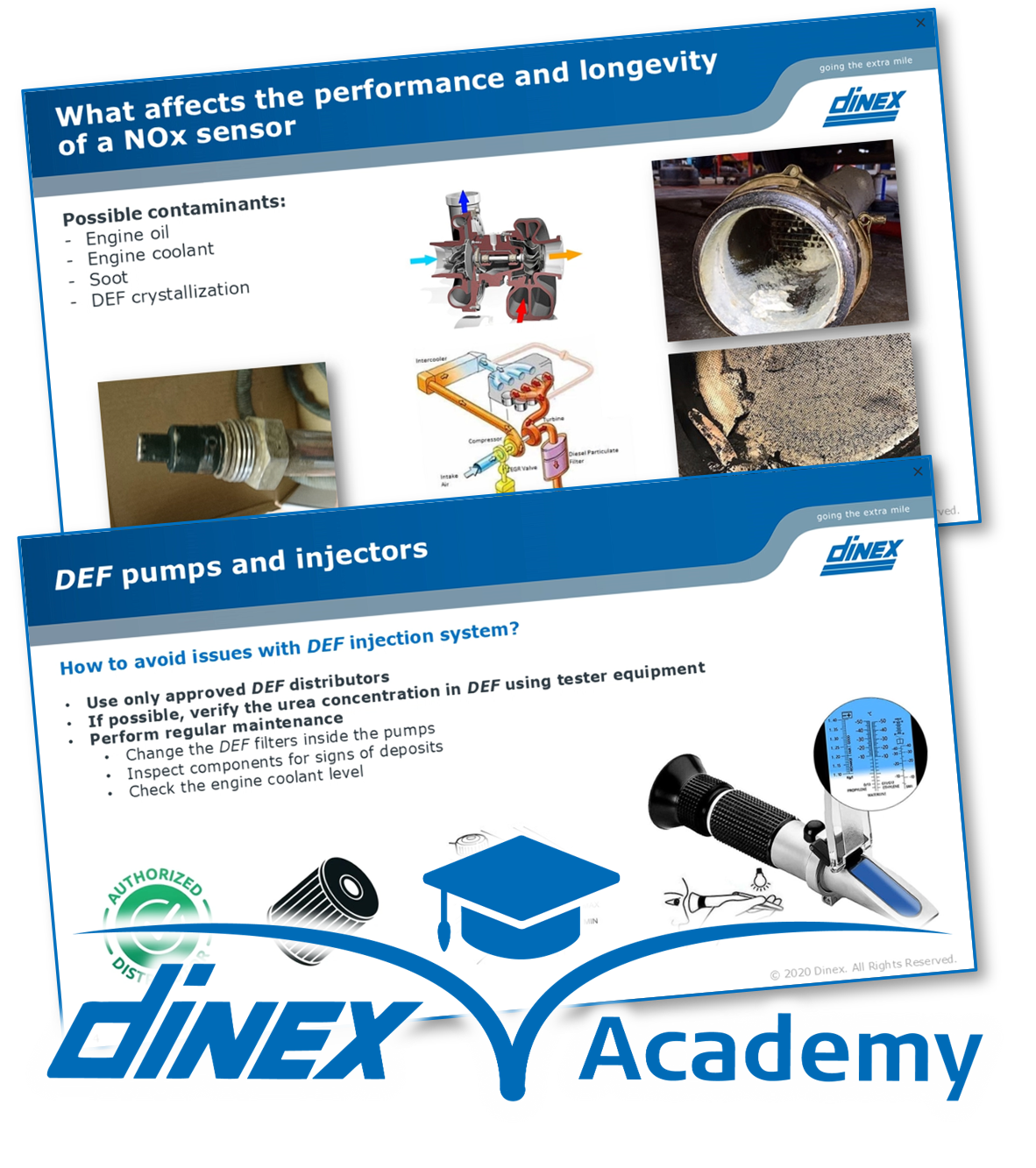 Dinex Academy Examples